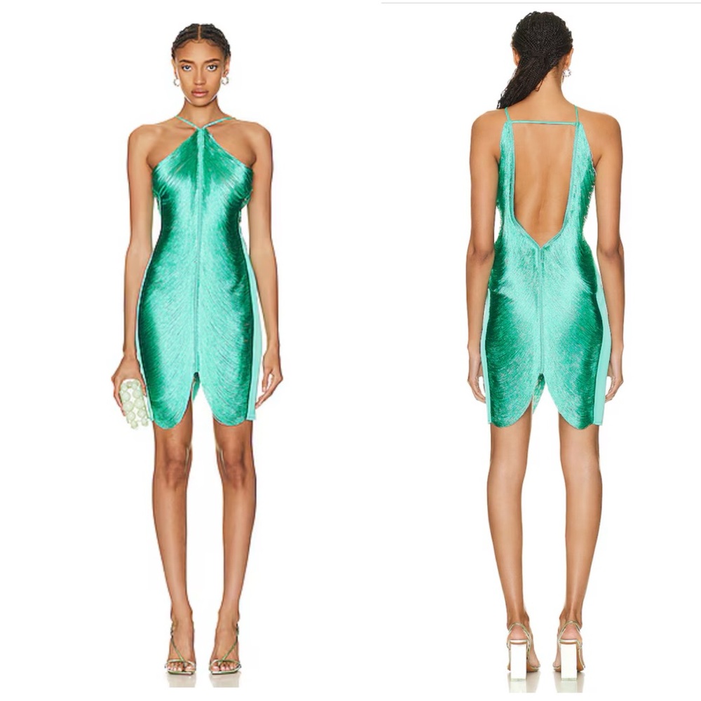 Cult Gaia Mara Fringe Mini Dress in Erba Size Medium $998 MSRP - Picture 7 of 16